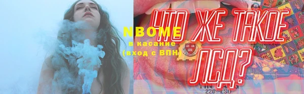 сатива Каменногорск