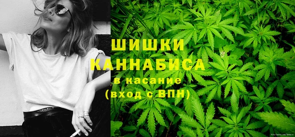 хмурый Инсар