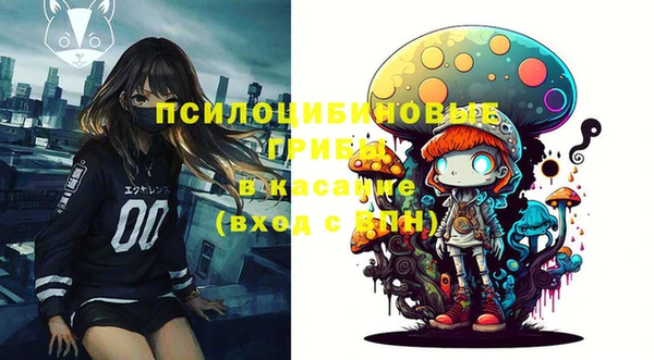 герыч Инта