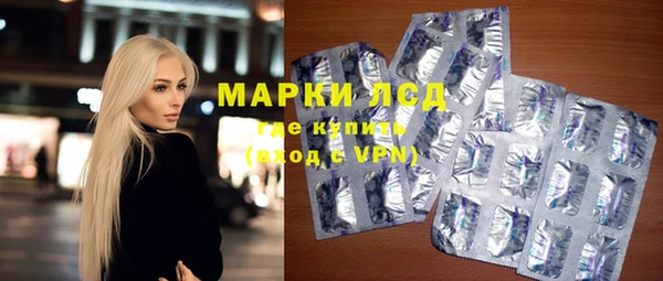 хмурый Инсар