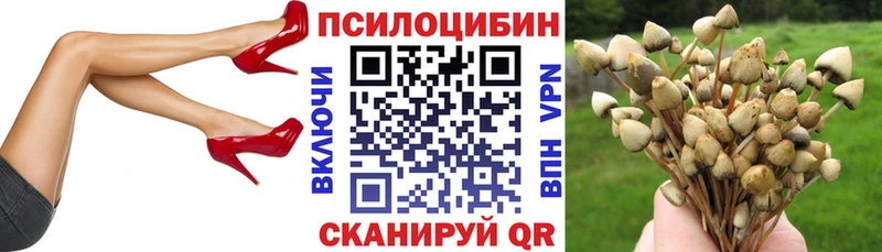 Галлюциногенные грибы Psilocybine cubensis  Купить  Вятские Поляны 